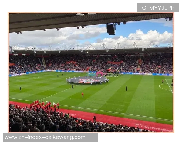 西布朗对阵热刺精彩视频直播全程回顾与赛后分析